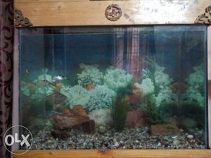 Fish tank full set for immediate sales. size 3 ft