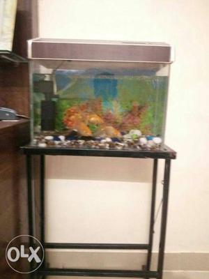 Fish tank heater light new filter stand and 5big