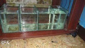 Fish tank with divider. can have 4 fishes. length