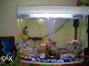 Good condition fish tank only 5 days use new