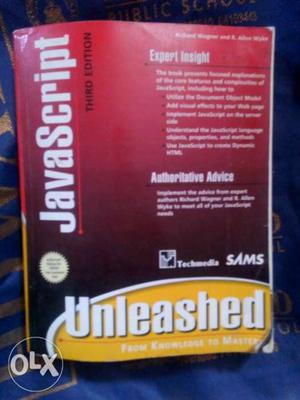 JavaScript Unleashed Book
