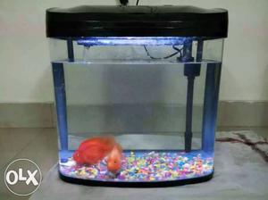 LED fibre fish tank with filtering only for tank