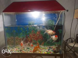 New fish tank with stand in very good condition