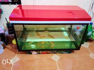 Price is fixed 2ft aquarium only interested