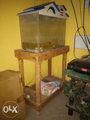 Rectangular White Framed Fish Tank with tank wooden table