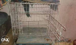 Steel folding cage for pets