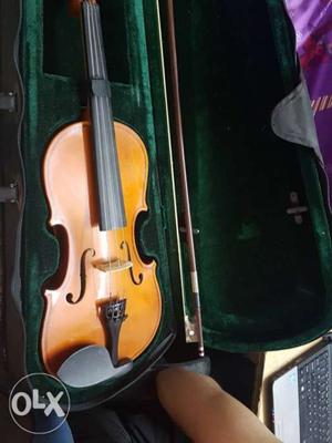 Violin and violin case in good condition.. not