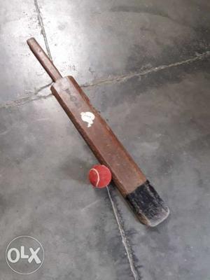 Wooden bat with a tenis ball