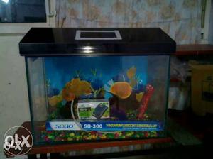 1.5 feet aquriam with all accessories and fish