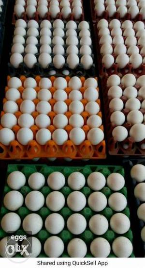 100 nos eggs ONLY ₹350