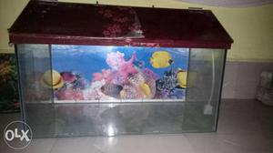 2 ×1×1 fish tank new 1 month used