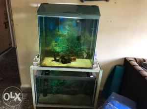 2 fish tank of 30 gallon each with metal stand
