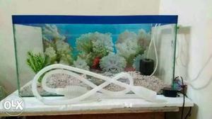 2x1 feet aquarium for sale with all accessories.