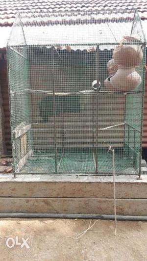 3×4 feet birds cage and 11 pots