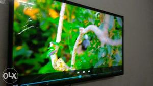50" LED TV With Ultra HD Clarity and Wireless Display