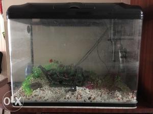 60 liter Aquarium with filter and decoration