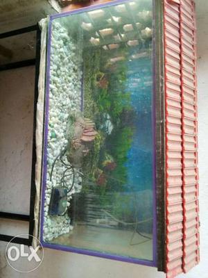 94cm 19inch fish tank with good condition and all