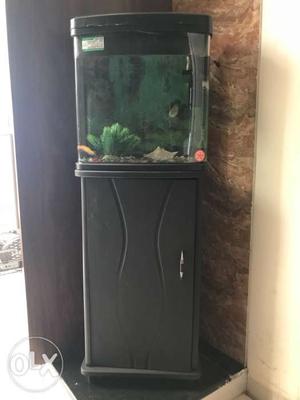 Acquarium with table top in excellent condition