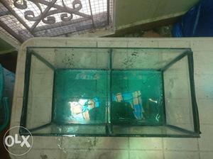 Aquarium Fish tank with divider for betta