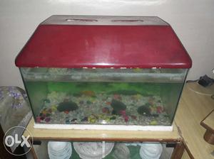 Aquarium Good Condition All accessories available