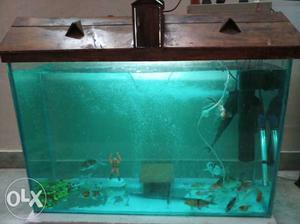 Aquarium size 3*2 feet with strong designer iron stand and