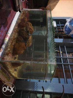 Clean aquarium fish tank Length = 18 inch breadth