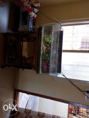 Fish Tank With Black Frame