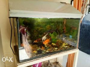 Fish Tank, tank cover and fish tank stand with