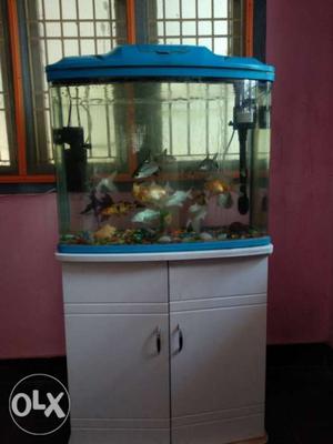Fish aquarium with 1 oxygen supplying motors and