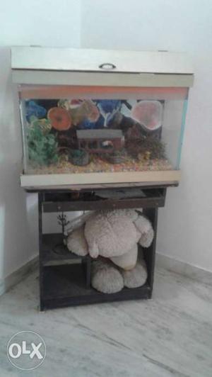 Fish aquarium with table