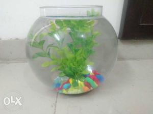 Fish bowl big size10 inch Brand New condition with color