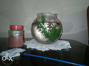Fish bowl with fish food,net decorative plant