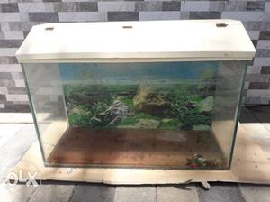 Fish tank 3ft long 1.5 ft broad 2ft height fish