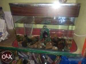 Fish tank for sell full set heater and water
