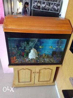 Fish tank with table and two fish and heater and LED light