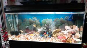 Fiver aquarium (L- 4ft. H - 2ft. W - 1.5ft)