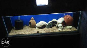 Hom oscor fish tank