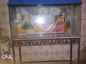 Large fish tank with iron stand