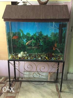 New Rectangular Fish Tank