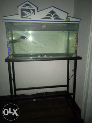Rectangular 32cm x 29 cmWhite framed Fish Tank