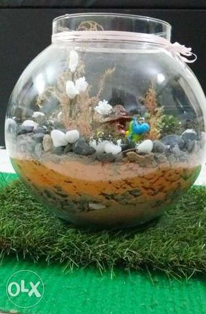 Terrarium for home decor..adds on liveliness to