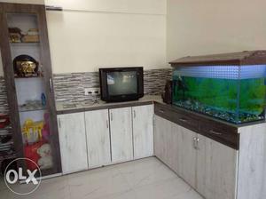 Tv, Fish tank and Showcase. Showcase is a new