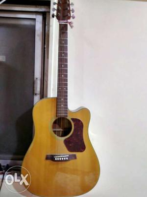 Walden guitar with fishman pickup and case.