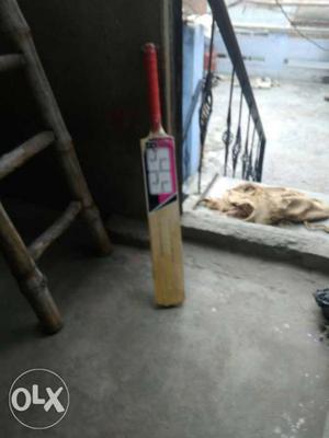 Brown And Pink SS Cricket Bat