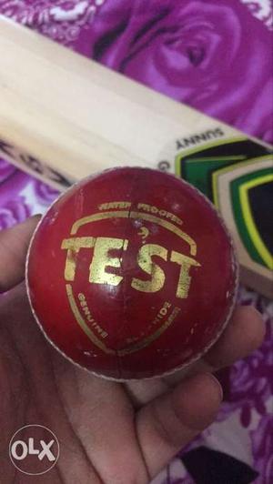 Red Test Cricket Ball