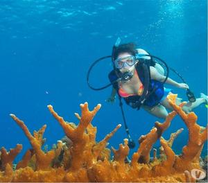 Rejuvenate Your Body By Experiencing Scuba Diving In Goa