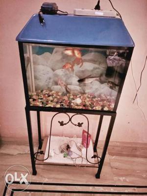 2 feet fish aquarium with stand + fishes + oxygen