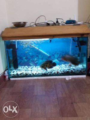 3feet tank with filter, heater, base filter, top
