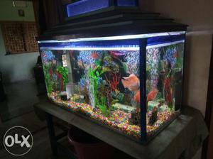 4ft x 2ft x 2ft aquarium for sale including stand