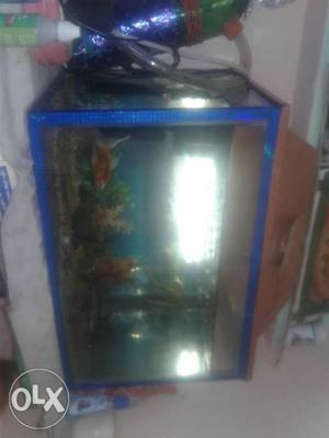 A 1 by 1.5 ft aquarium with waterfilter water led